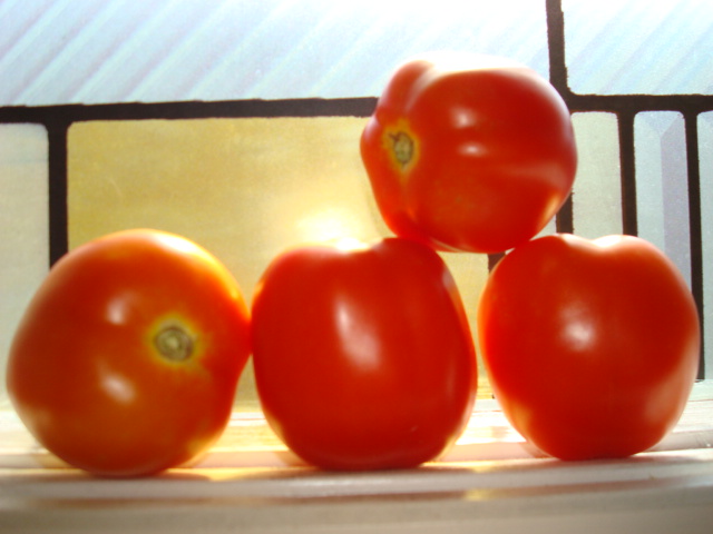 Health Kick Tomatoes