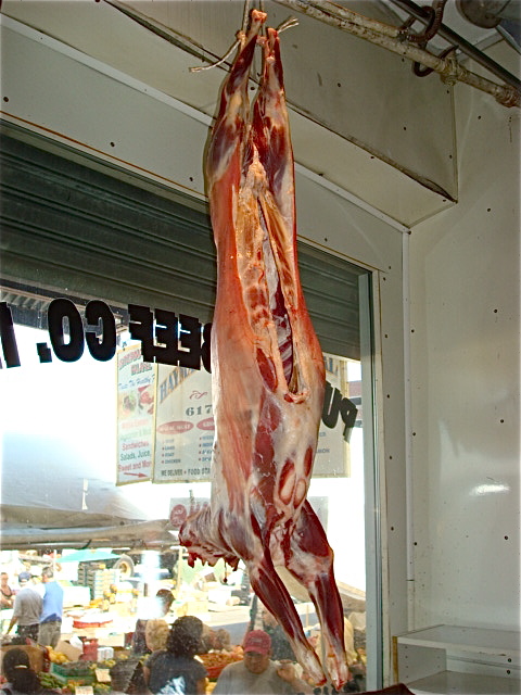 Pictures from Boston's Haymarket at The Hungry Mouse