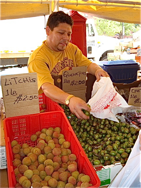 Pictures from Boston's Haymarket at The Hungry Mouse