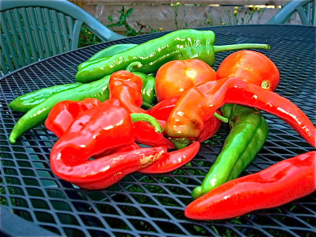 Peppers and tomatoes