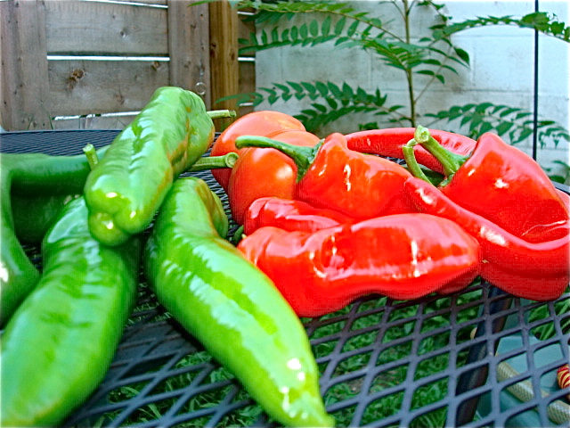 Peppers & tomatoes