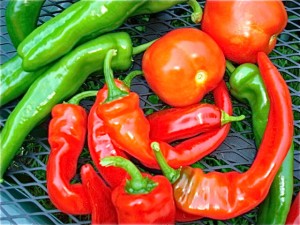 Peppers & Tomatoes