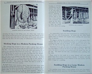 Heller\'s Secrets of Meat Curing and Sausage Making