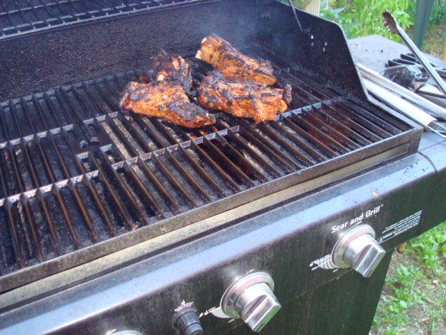 pork-ribs-072208