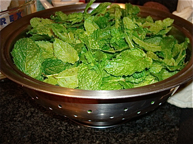 Rinse the mint well
