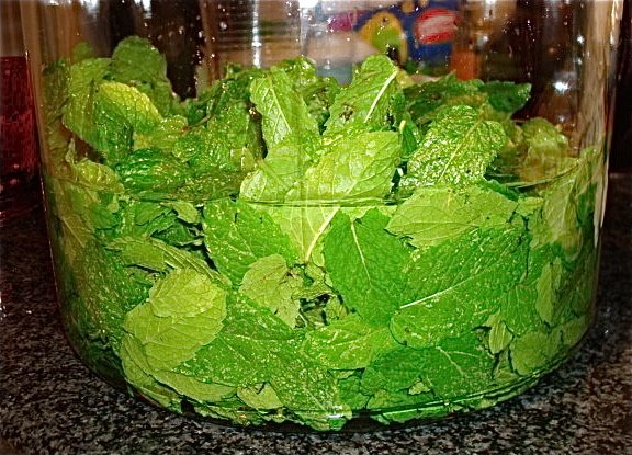 Mint + vodka + simple syrup