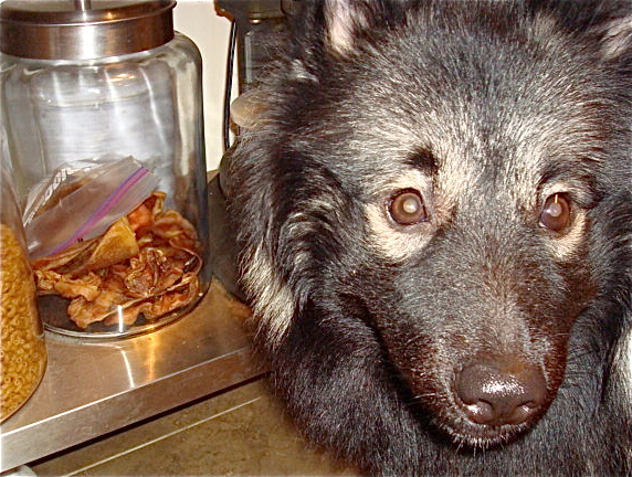 This Barking Sous Chef knows his pork products