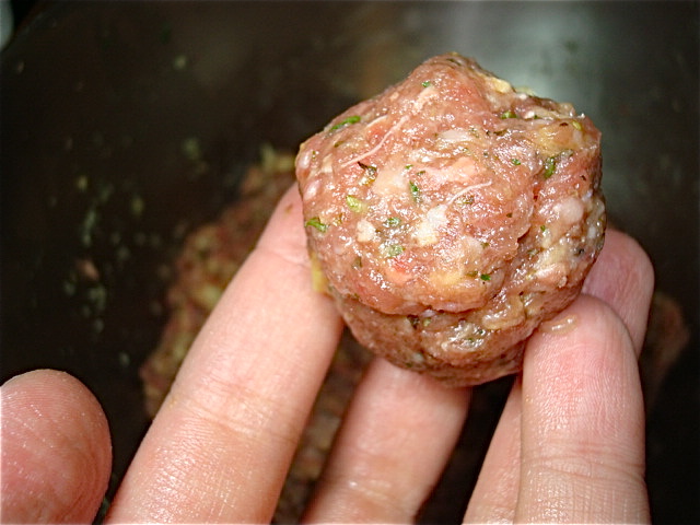 Your test meatball