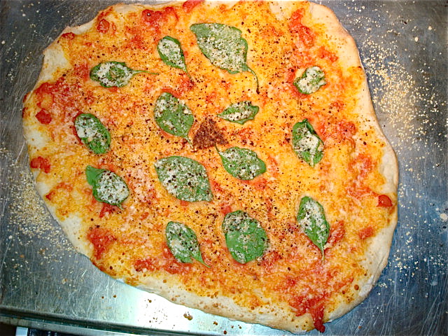 Thin crust pizza dough recipes