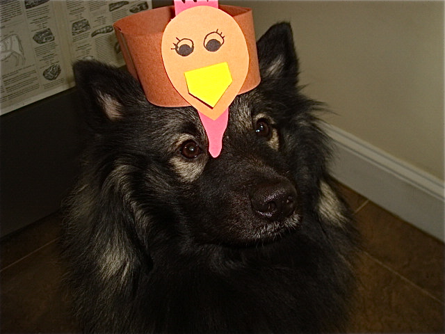 Happy Thanksgiving