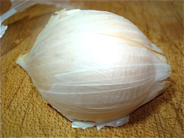 A clove of elephant garlic