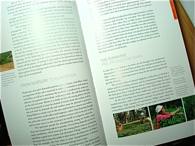 Page from The Tea Drinker's Handbook