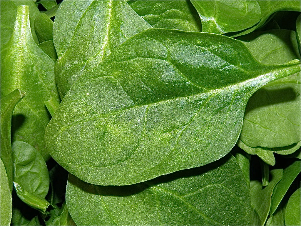 Baby spinach