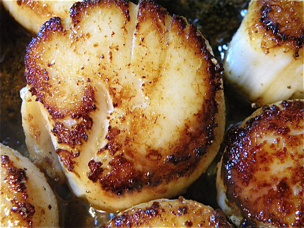 ButterFried Sea Scallops The Hungry Mouse