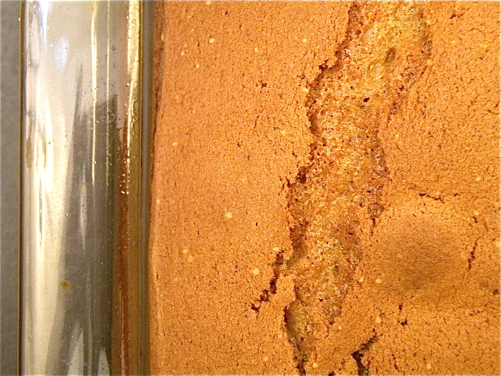 Hot out of the oven