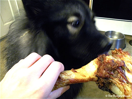 Can A Dog Have A Pork Shoulder Bone Can A Dog Have A Pork Shoulder Bone