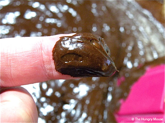Easy Dark Chocolate & Walnut Fudge at The Hungry Mouse