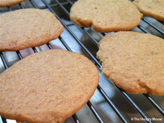 Butterscotch Refrigerator Cookies at The Hungry Mouse Butterscotch Refrigerator Cookies at The Hungry Mouse