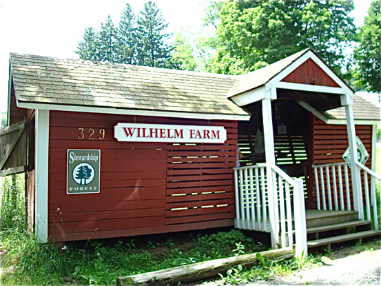 Farm Stand Pictures at The Hungry Mouse