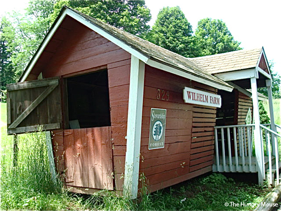 Farm Stand Pictures at The Hungry Mouse