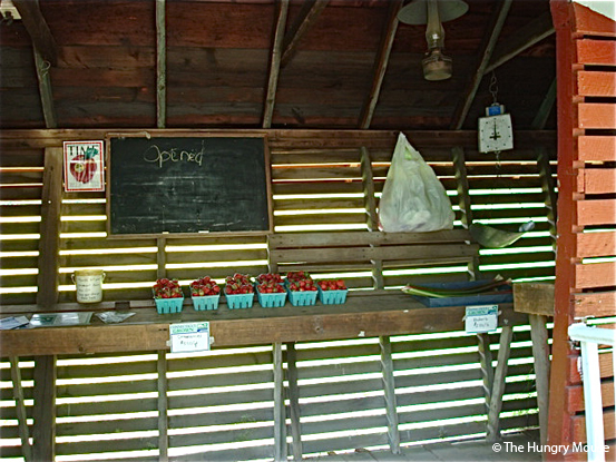 Farm Stand Pictures at The Hungry Mouse