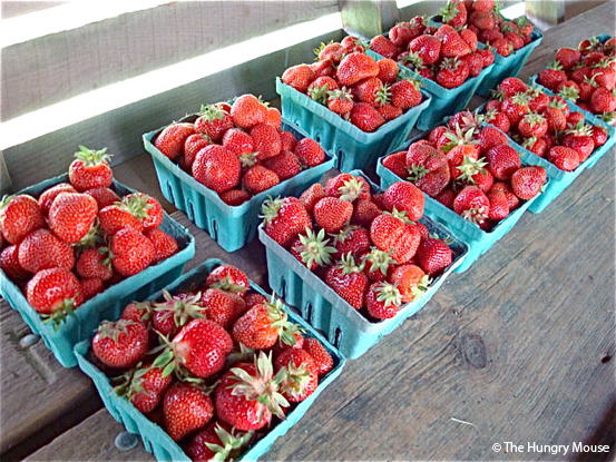 Farm Stand Pictures at The Hungry Mouse