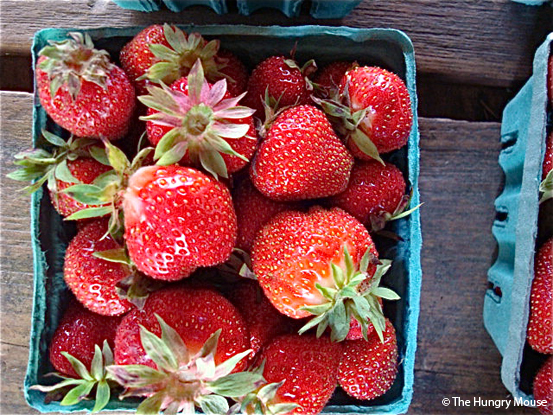 Farm Stand Pictures at The Hungry Mouse