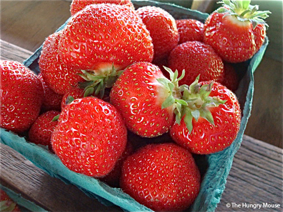 Farm Stand Pictures at The Hungry Mouse