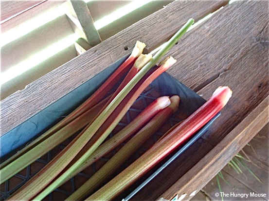 Farm Stand Pictures at The Hungry Mouse