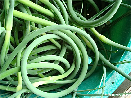Garlic Scape Pesto at The Hungry Mouse Garlic Scape Pesto at The Hungry Mouse