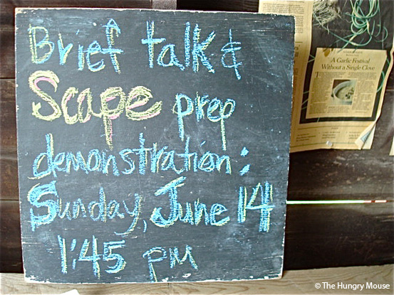 Garlic Scape Pesto at The Hungry Mouse Garlic Scape Pesto at The Hungry Mouse