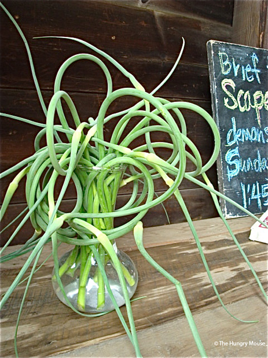 Garlic Scape Pesto at The Hungry Mouse Garlic Scape Pesto at The Hungry Mouse