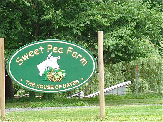 Fresh Goat Feta and a Visit to Sweet Pea Farm dsc00737