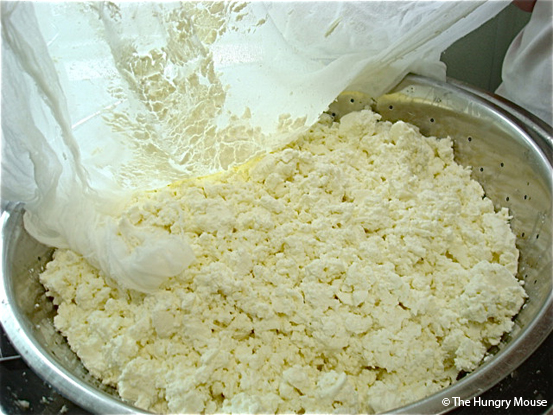 Fresh Goat Feta and a Visit to Sweet Pea Farm dsc00746