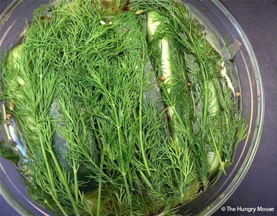 Quick Fresh Pickles at The Hungry Mouse