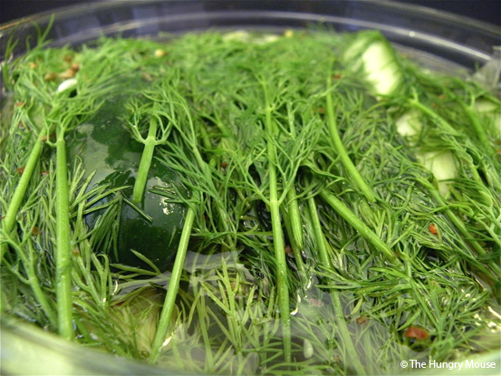 Quick Fresh Pickles at The Hungry Mouse