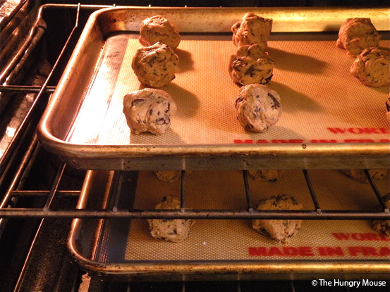 Best Ever Chocolate Chunk Cookies at The Hungry Mouse