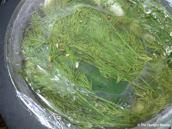 Quick Fresh Pickles at The Hungry Mouse