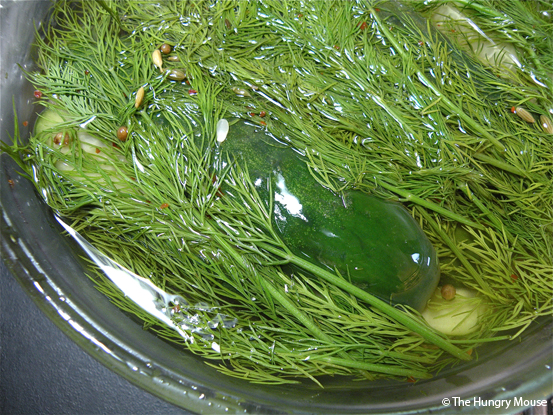 Quick Fresh Pickles at The Hungry Mouse