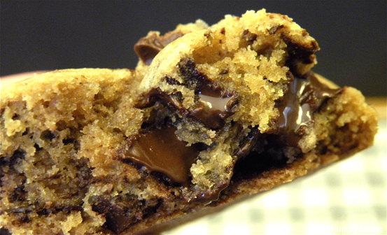 Best Ever Chocolate Chunk Cookies at The Hungry Mouse