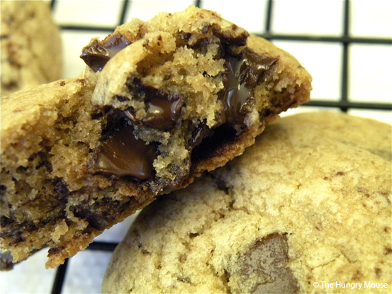 Best Ever Chocolate Chunk Cookies at The Hungry Mouse