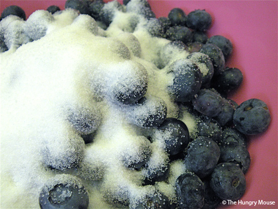 Basic Cooking: How to Make a Blueberry Pie at The Hungry Mouse