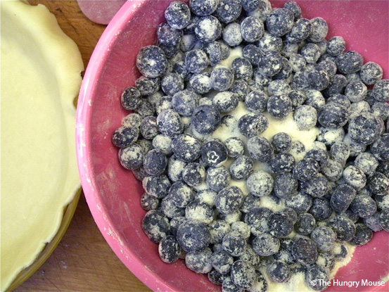 Basic Cooking: How to Make a Blueberry Pie at The Hungry Mouse