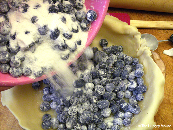 Basic Cooking: How to Make a Blueberry Pie at The Hungry Mouse