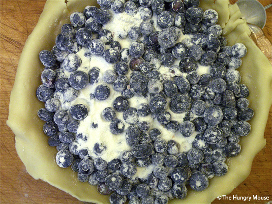 Basic Cooking: How to Make a Blueberry Pie at The Hungry Mouse