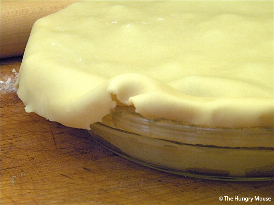 Basic Cooking: How to Make a Blueberry Pie at The Hungry Mouse
