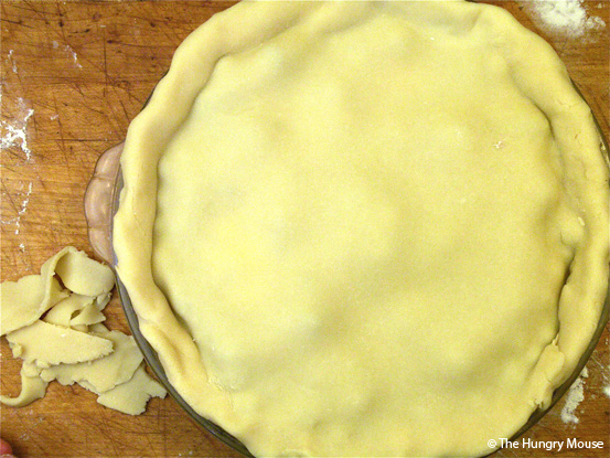 Basic Cooking: How to Make a Blueberry Pie at The Hungry Mouse