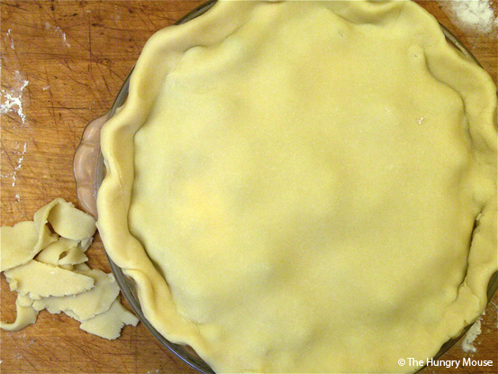 Basic Cooking: How to Make a Blueberry Pie at The Hungry Mouse