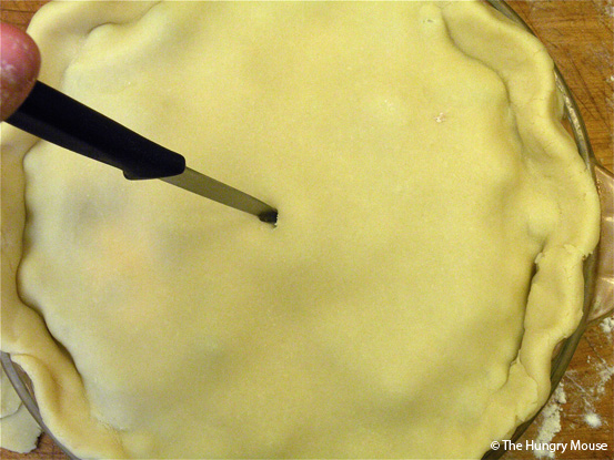 Basic Cooking: How to Make a Blueberry Pie at The Hungry Mouse