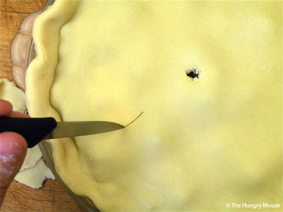 Basic Cooking: How to Make a Blueberry Pie at The Hungry Mouse